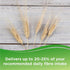 Benefiber 730gm Jumbo Fiber Supplement Powder - 25.75oz, 208 Serves