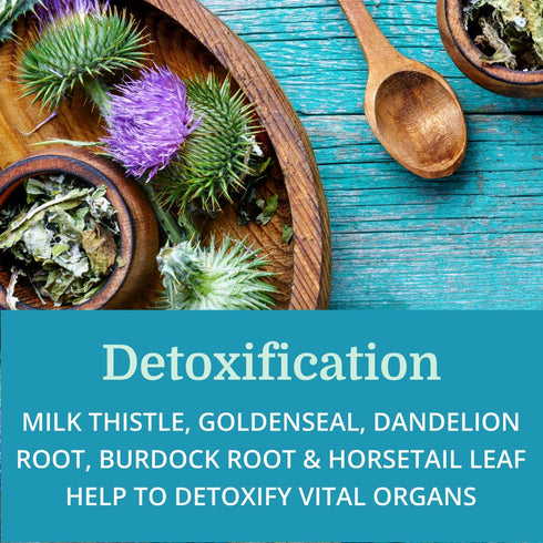 SuperV BEST Process Alkaline, Energizing & Detoxifying Multivitamin with Superfoods and Herbs
