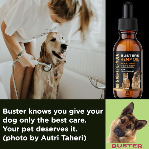Busters Hip and Joint Hemp Oil Formula with Glucosamine for Pain Relief in Dogs and Pets, Arthritis Support