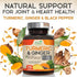 Turmeric Curcumin Supplement 2600mg with Organic Ginger & Turmeric, 95% Curcuminoids, BioPerine for Best Absorption