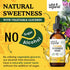 Burdock Root Tincture - Alcohol-Free Digestive Health Supplement w/Burdock Root Extract - 2oz Antioxidant
