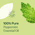 Plant Therapy Peppermint Essential Oil 10 mL (1/3 oz), 100% Pure, Natural Aromatherapy for Skin