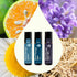 Set 10 mL (1/3 oz) Plant Therapy Sleep Easy Essential Oil Roll On Blend Each of Relax, Sleep Tight & Unwind, Pure