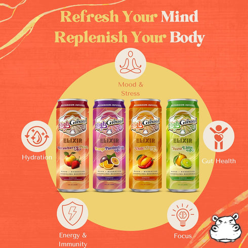 Pack 12oz 6 Pack High Ground Elixir Mushroom Seltzer Variety | Lions Mane for Focus, Reishi for Stress, Cordyceps