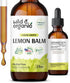 Organic Lemon Balm Tincture - 2 fl oz Liquid Extract for Stress Relief - Vegan Alcohol Free Supplement Drops