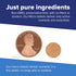 Immune 11 100 Superior Source One Daily Multi-Vitamin - Daily Supplement Supports Bone Strength, System Function & More