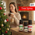 Set 3 150 Evergreen Holiday Essential Oil Kit of Oils - Includes Wildcrafted Utah White Fir, Orgnaic Peppermint