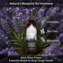 Lumi Outdoors Natural Shoe Deodorizer Spray & Odor Eliminator - Lavender Tea Tree Essential Oil
