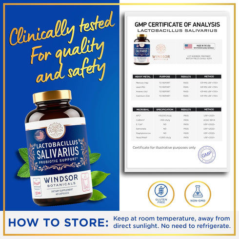 Lactobacillus Salivarius Probiotic Capsules, 60 Caps for Oral Health, Bad Breath, and Digestive Support