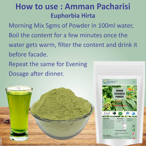 Amman Pacharisi Euphorbia Hirta Powder, 300 GM (10.58 OZ) Pack of 1