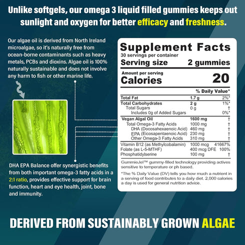 Vegan Omega 3 Gummies 1000mg, Omega 3 Fish Oil Alternative, Marine Algae Omega 3 Supplement DHA 460mg, EPA 230mg w/Vitamin B12, Folate, PS for Brain, Bone, Joint, Eye & Immunity, Sugar Free, 60 Cts