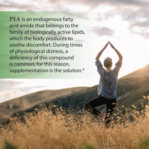 (Pea+, 60 Capsules) All-Natural Meriva Curcumin Supplement for Physiological Support, Immune & Muscular Systems