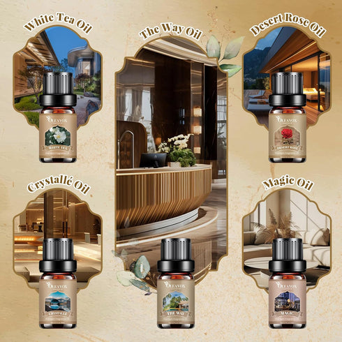 Set, 10x5ml Hotel Diffuser Oils Gift Luxury Fragrance Oil Blend, Hotel Essential Oils for Diffusers for Home, Candle