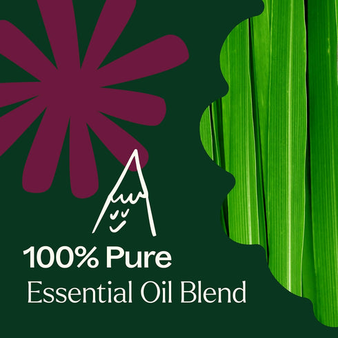 Plant Therapy Nature Shield Essential Oil Blend Pre-Diluted Roll-On, 10 mL, 100% Pure