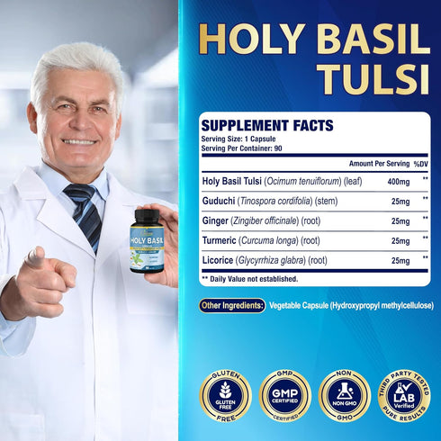 Organic Cadane Holy Basil Supplements - Capsules with Guduchi, Ginger, Turmeric Curcumin, Licorice, 90 Capsules for