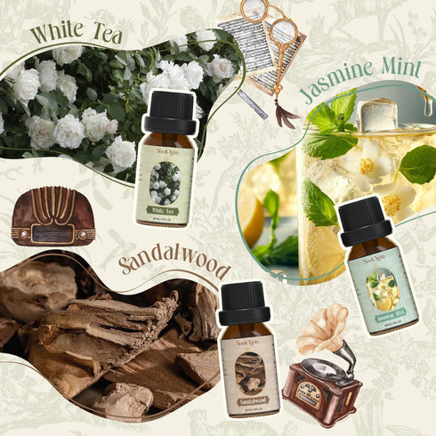 Set, Set Soulorigin Hotel Fragrance Oils Essential Oil Gift for Diffuser, Hotel Scent Diffuser Oil, Diffuser Scents Oil