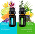 Pure Daily Care Aromatherapy Top 10 Essential Oil Synergy Blend Set - 10 x 10 ml Blends, Therapeutic Grade