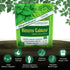 Hildegard's Original Bitters Tablets: Herbal Remedy for Fasting Support, Kidney Liver Cleanse Detox