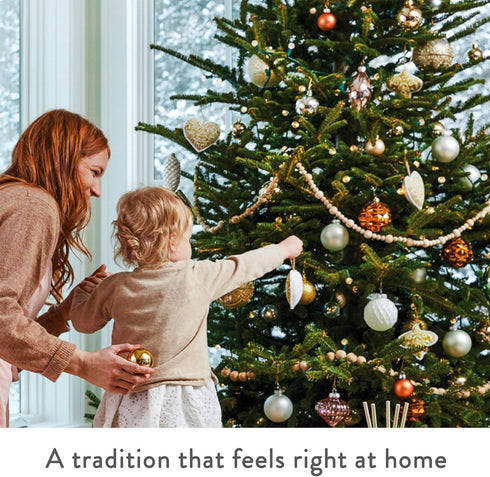 Thymes Frasier Fir All-Purpose Cleaner - Biodegradable Household Spray with Natural Essential Oils (16 fl oz)