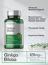 Horbaeach Ginkgo Biloba 120mg, 240 Tablets, Gluten Free & Non-GMO Supplement