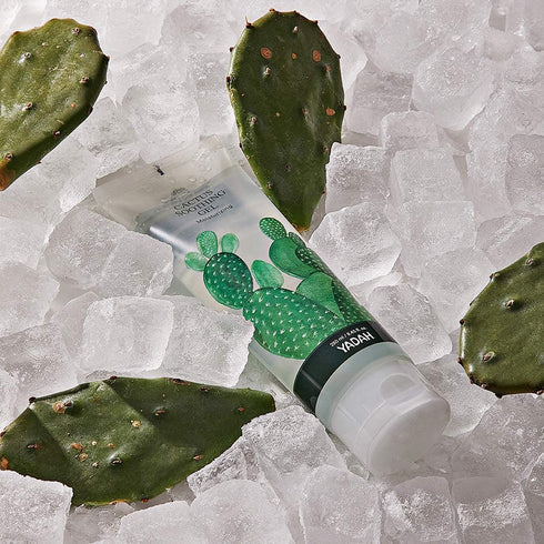 YADAH Cactus Soothing Gel (8.45 fl oz), Sunburn Relief, Calm & Soothe Irritated Skin, 95% Cactus Extract