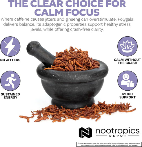 Nootropics Depot Polygala tenuifolia Capsules - 100mg - 90 Count - 20:1 Extract - Supports Cognitive Function and Stress