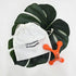 morning blooming BloomPoint Gua Sha: 6 Aesthetic Colors & Travel Pouch. Modern Handheld Sculpting