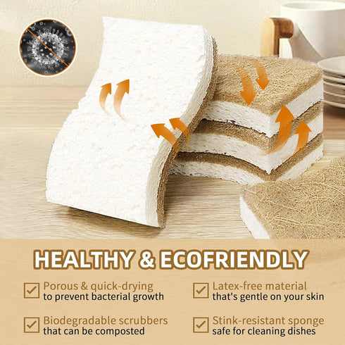 Biodegradable Natural Kitchen Sponge - 12 Pack Compostable Cellulose and Coconut Scrubber