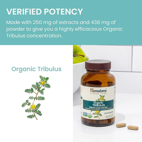Himalaya Organic Tribulus Terrestris, Herbal Supplement for Urinary Support, Bladder Function, Prostate Support, 688
