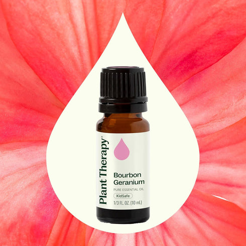 Plant Therapy Geranium Bourbon Essential Oil, 100% Pure, 10 mL (1/3 oz), Natural Aromatherapy