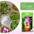 Yoni Herbs for Cleansing - 20 Bags, 100% Organic Herbal Blend for Steaming, Vaginal Detox