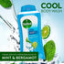 Dettol Cool Body Wash and Shower Gel with Mint and Bergamot, 8.45 Fl Oz (Pack of 1)