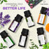 Pure Aroma Essential Oils Set, Top 6 Aromatherapy Oils Gift Set, 10ml (6 Pack)