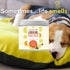 Odor Eliminator Essential Oil Gel, 15 oz, Air Freshener for Bathroom, Pet Area, Closets
