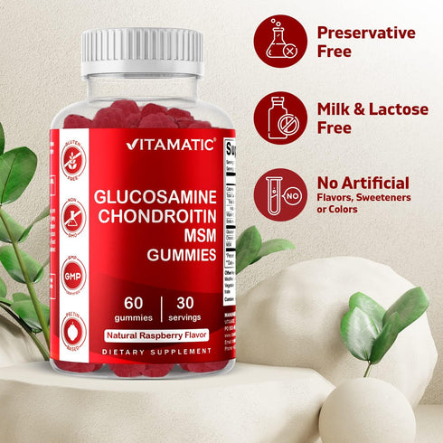 Vitamatic Glucosamine Chondroitin Gummies 2 Pack with MSM & Vitamin E - 60 Gummies
