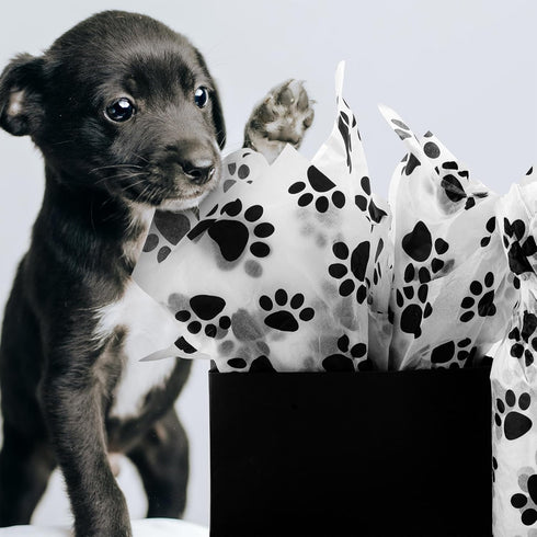 Hi Sasara 30 Sheets Large 20 x 28 inch Black and White Dog Paw Print Tissue Paper for Gift Bags and Holidays