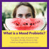 InnovixLabs Mood Probiotic for Women & Men, Digestive & Mood Support Supplement, 60 Capsules.