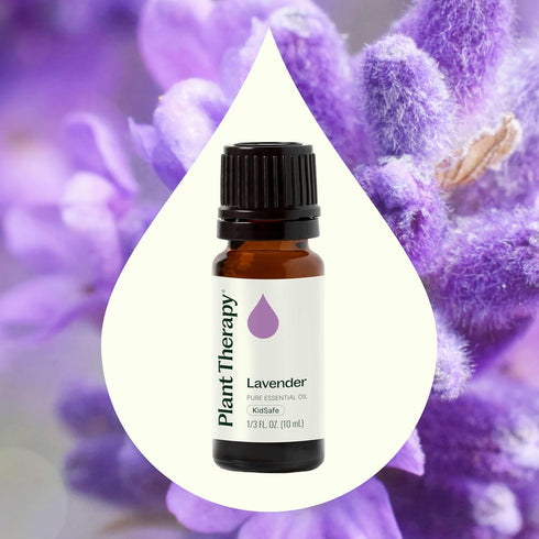 Plant Therapy Lavender Essential Oil, 100% Pure, 10 mL (1/3 oz) for Aromatherapy and Body Care