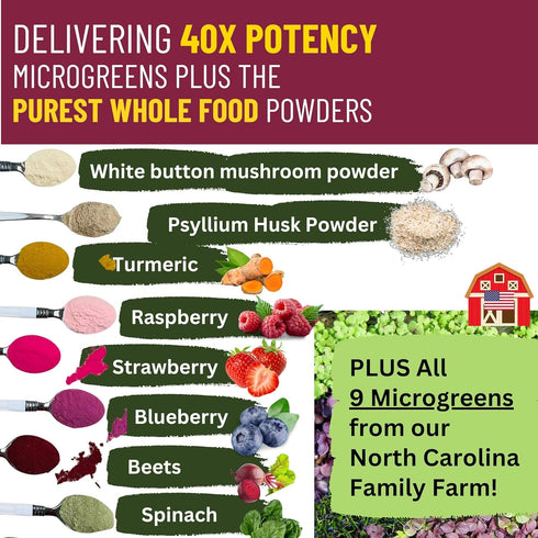 InviNutri Superfoods Powder for Sensory Special Needs and Picky Eaters, 30mg Sulforaphane Vitamin Supplement Trial Size