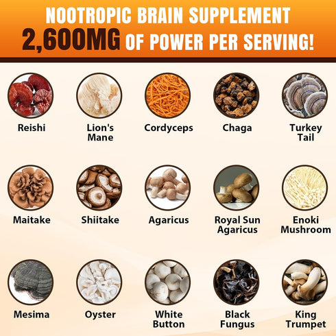 Tioewque 20 1 120 Brain Supplements for Memory and Focus, Mushroom Supplement, in Mushroom Complex with Lions Mane