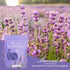Lavender Wax Beads for Hair Removal, Natural Hypoallergenic Formula, 2LB Stripless Refillable for Sensitive Areas