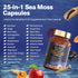 25-in-1 Sea Moss Black Seed Oil Ashwagandha Ginger Shilajit Supplement 18525mg, Sea Moss Capsules with Bladder Burdock Ceylon Cinnamon Berberine ACV Manuka Vit C&D3 for Immune, Gut & Energy, 120 Caps