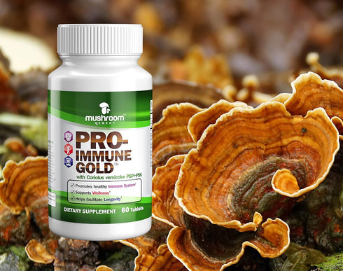 PRO-Immune Gold, Best Immune Support, Clinically Studied Mushroom Extract, Antioxidant Supplement, 60 Tablets