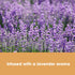 Furniture Clinic Vinyl Floor Cleaner | 17oz / 500ml | Quick-Drying with Lavender Aroma | Easy and Safe Application |