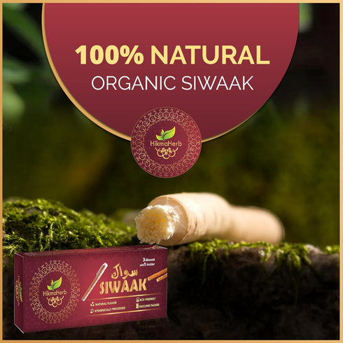 Pack of 3 Miswak Sticks with Holder, Natural Chewing Sticks for Teeth Whitening and Oral Health