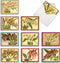 The Best Card Company - 10 Boxed Note Cards with Flowers, Blank Assorted Floral Notecards Bulk, Tiger Orchids M10037BK