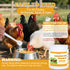 Ourea Immune Selenium and Vitamin E Powder for Chickens, Selenium for Chickens, System, Muscle Support & Prevents