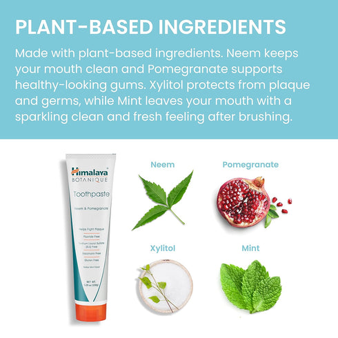 Himalaya Botanique Neem & Pomegranate Toothpaste, Mint Flavor, 5.29 oz - Fluoride Free, Vegan, Gluten Free