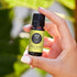 Edens Garden Sunshine Spice Essential Oil Synergy Blend, 100% Pure Therapeutic Grade (Undiluted Natural/Homeopathic Aromatherapy Scented Essential Oil Blends) 10 ml