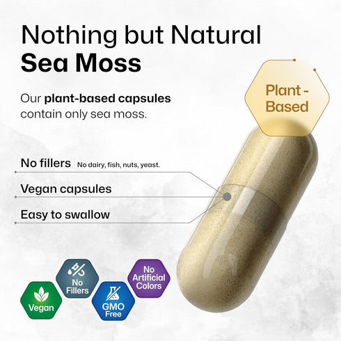 BIO KRAUTER Irish Sea Moss Capsules, 1600 mg - 250 Count - Vegan Bladderwrack with Chondrus Crispus